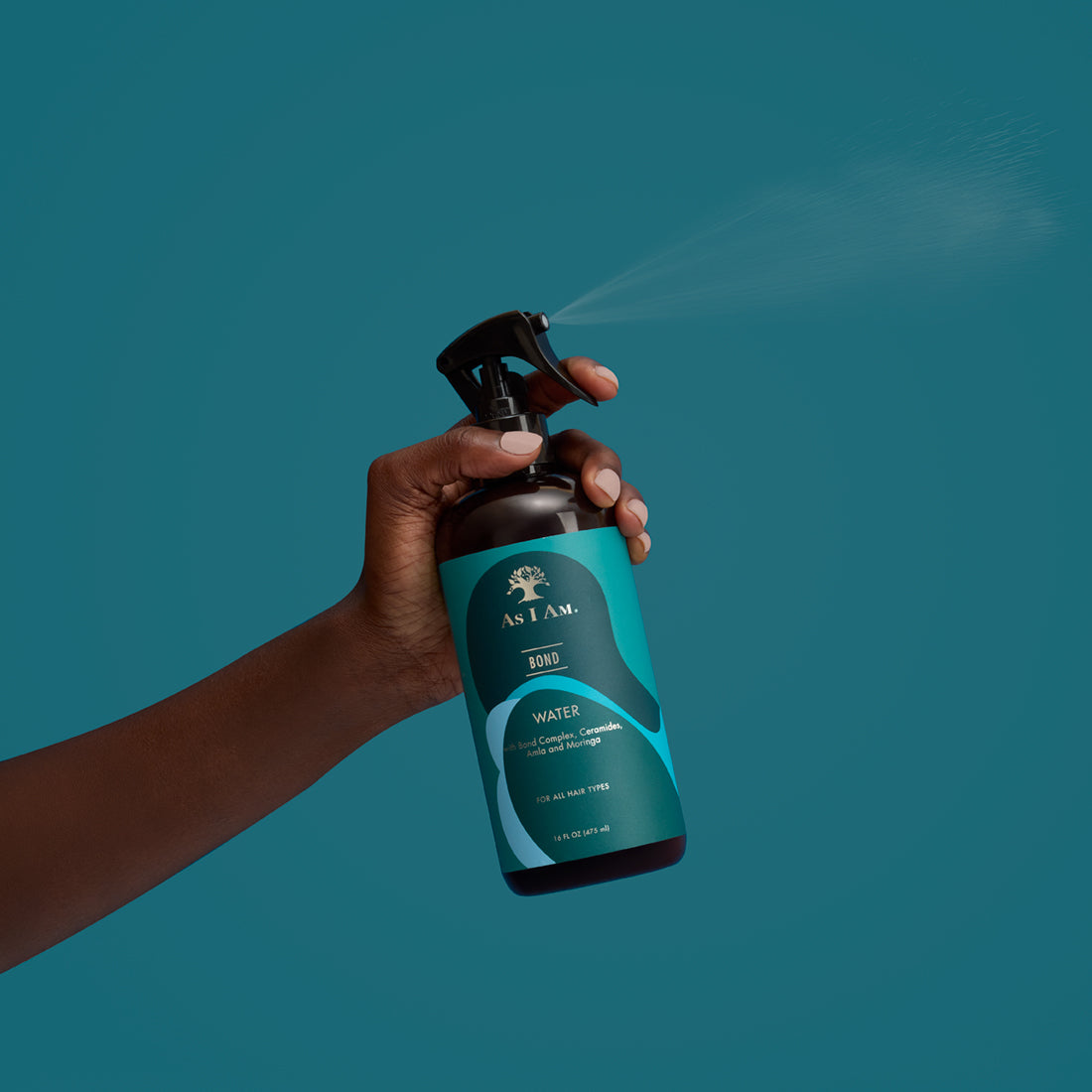 Type 1 Hair: Hair Repair Routine